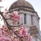 a-home-run-for-wa-house-budgets