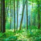 tnfd-releases-final-draft-of-nature-related-financial-disclosure-framework