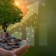 understanding-the-eu-sustainable-finance-disclosure-regulation