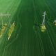 satellite-monitoring-helps-utilities-manage-risk,-boost-biodiversity