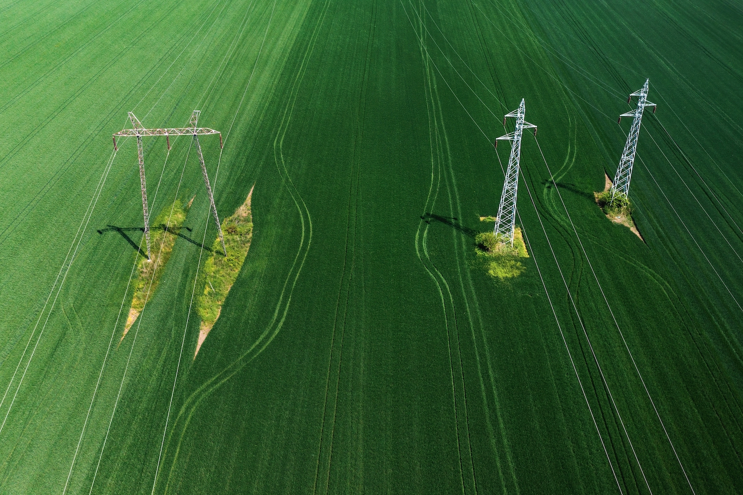 satellite-monitoring-helps-utilities-manage-risk,-boost-biodiversity