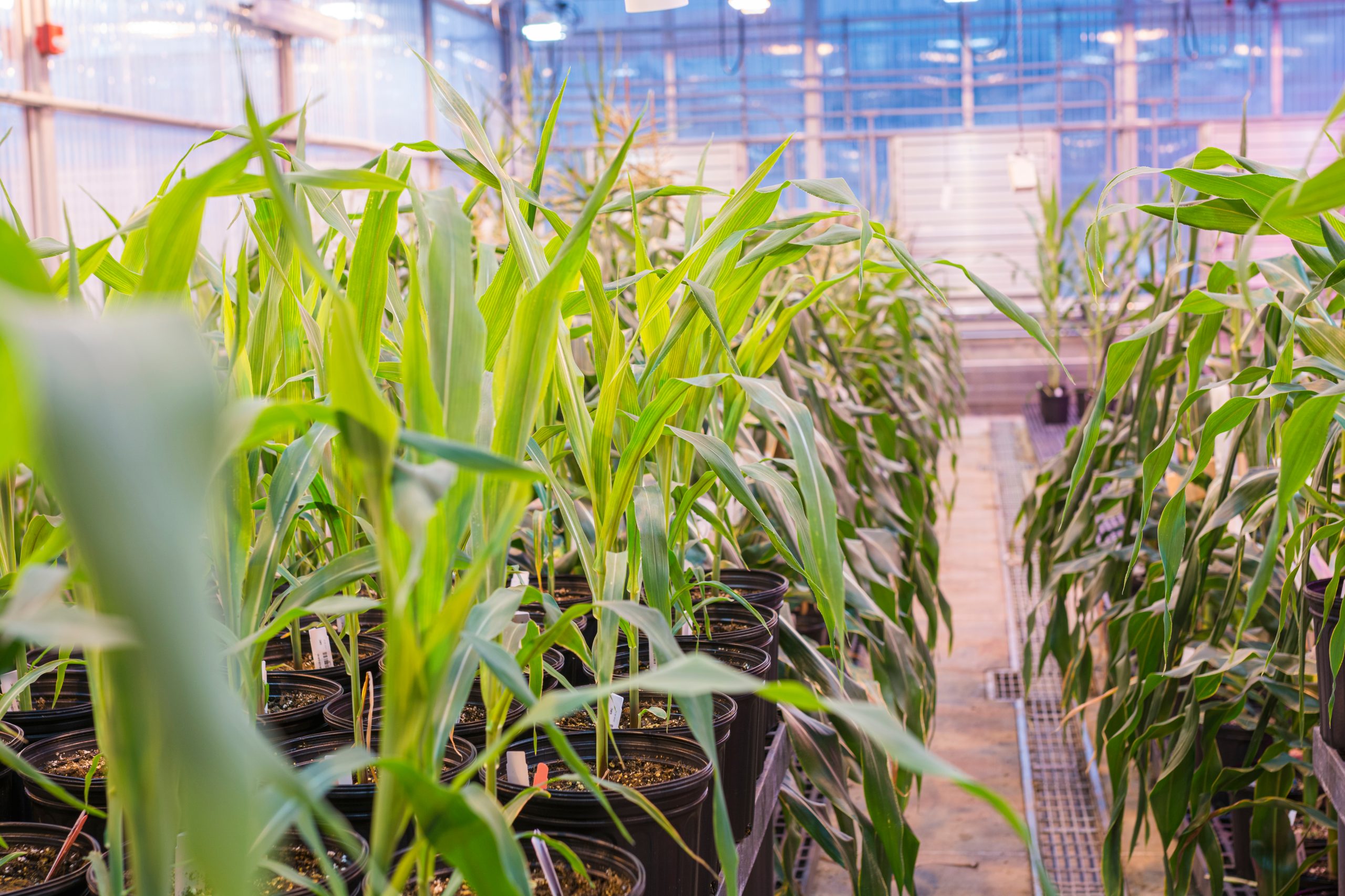 what-does-the-ira-mean-for-agtech?