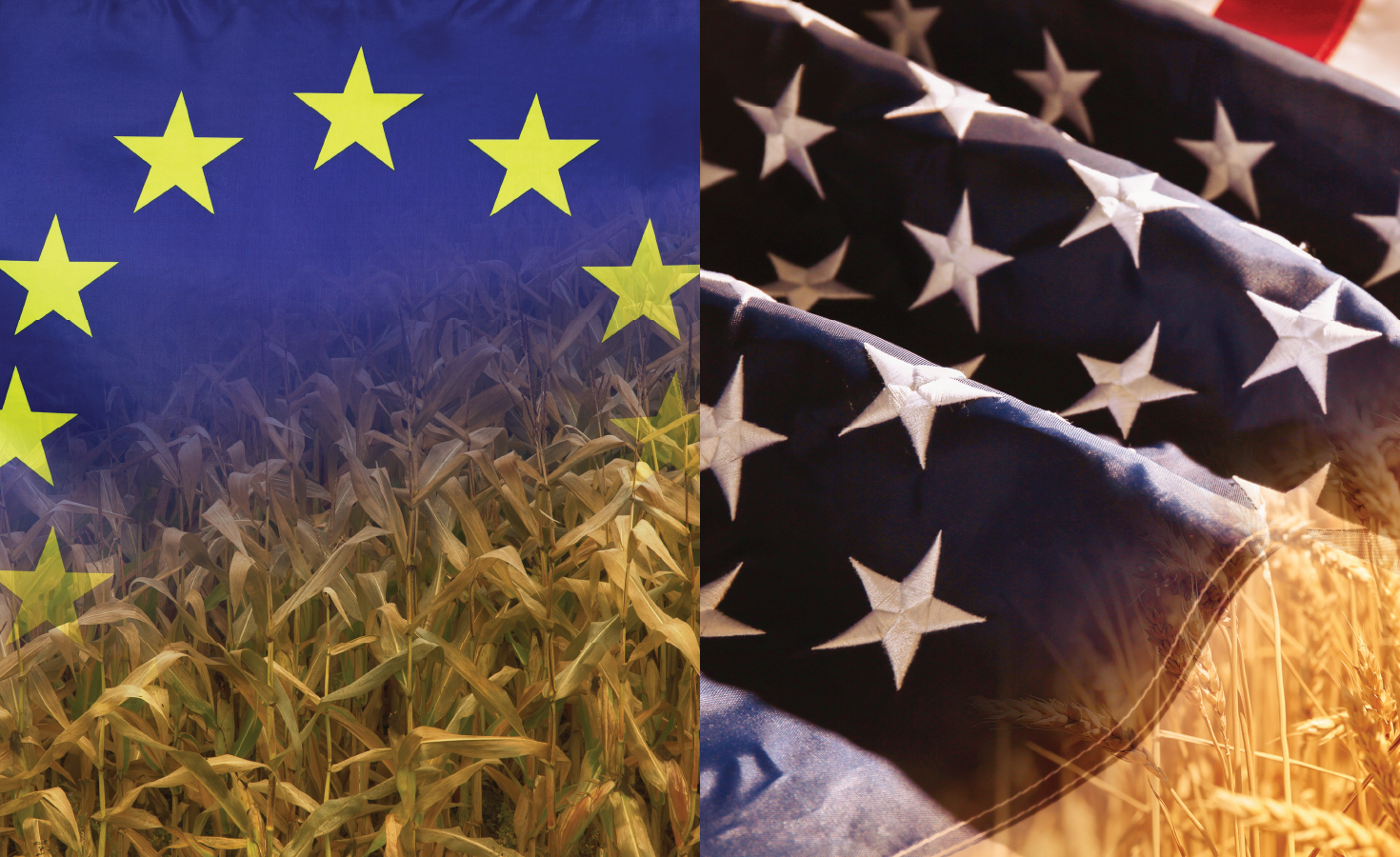 how-does-sustainable-agriculture-measure-up-in-the-eu-and-us.