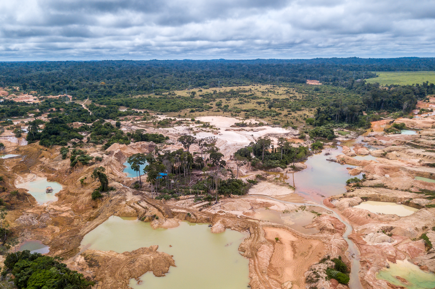 3-strategies-for-following-through-on-deforestation-commitments