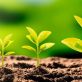 this-earth-day,-hear-from-different-voices-and-ways-to-do-something-for-our-climate-