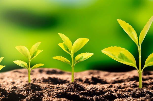 this-earth-day,-hear-from-different-voices-and-ways-to-do-something-for-our-climate-