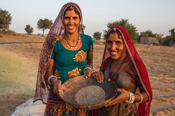 herbal-essences’-‘plant-grow-nourish.’-initiative-advances-responsible-sourcing