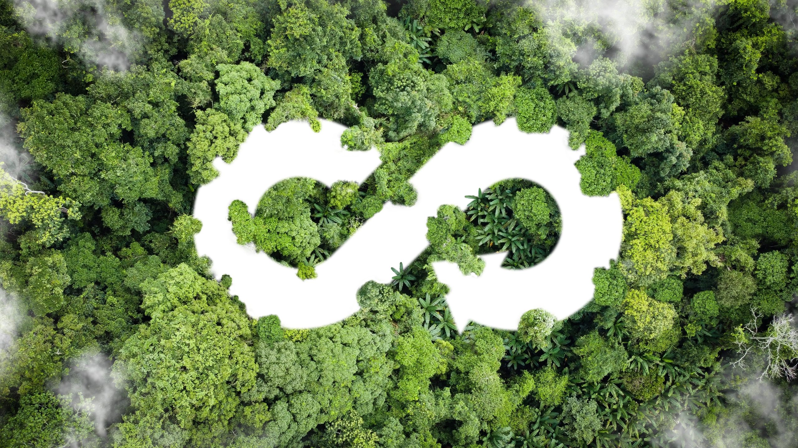 material-transparency:-the-missing-link-for-scaling-circularity