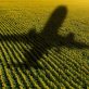 united-airlines-sets-target-to-triple-sustainable-fuels-use-in-2023
