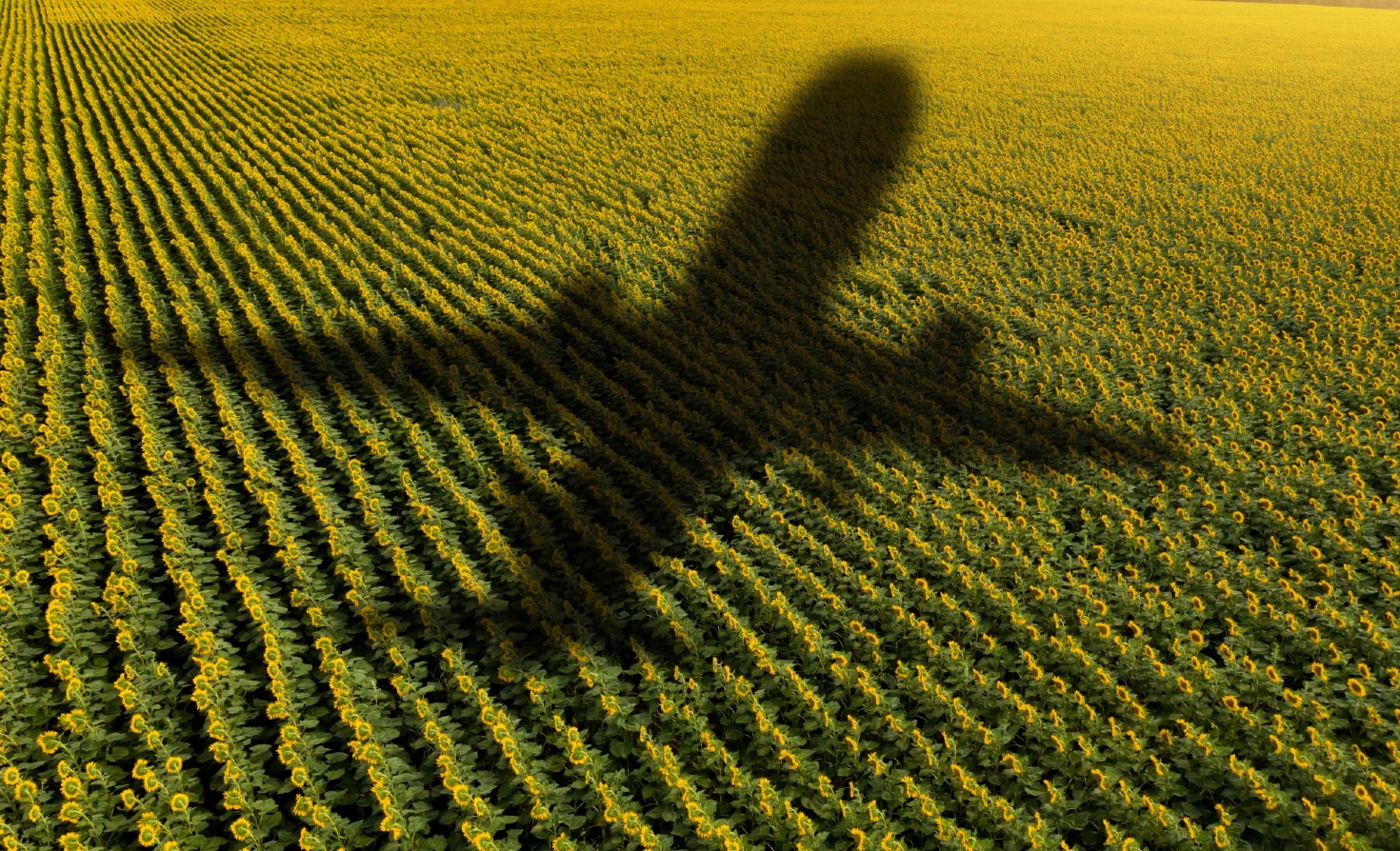 united-airlines-sets-target-to-triple-sustainable-fuels-use-in-2023