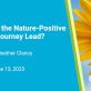 where-will-the-nature-positive-business-journey-lead?