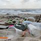 why-cdp-introduced-plastic-reporting