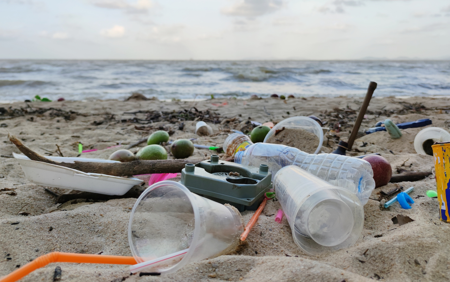 why-cdp-introduced-plastic-reporting