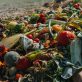 navigating-food-waste-regulations:-a-guide-for-businesses