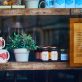 small-business-is-a-big-deal-for-climate-action