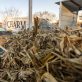 carbon-removal-startup-lands-$53-million-contract