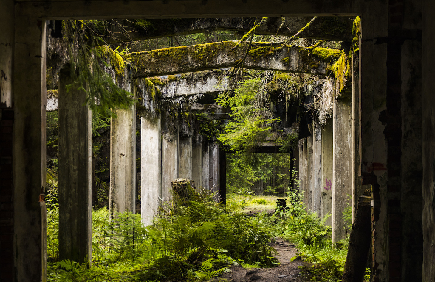 imagine-if-humans-disappeared-tomorrow