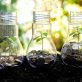 ‘disappointing’:-few-asset-managers-back-shareholder-biodiversity-proposals,-report-finds