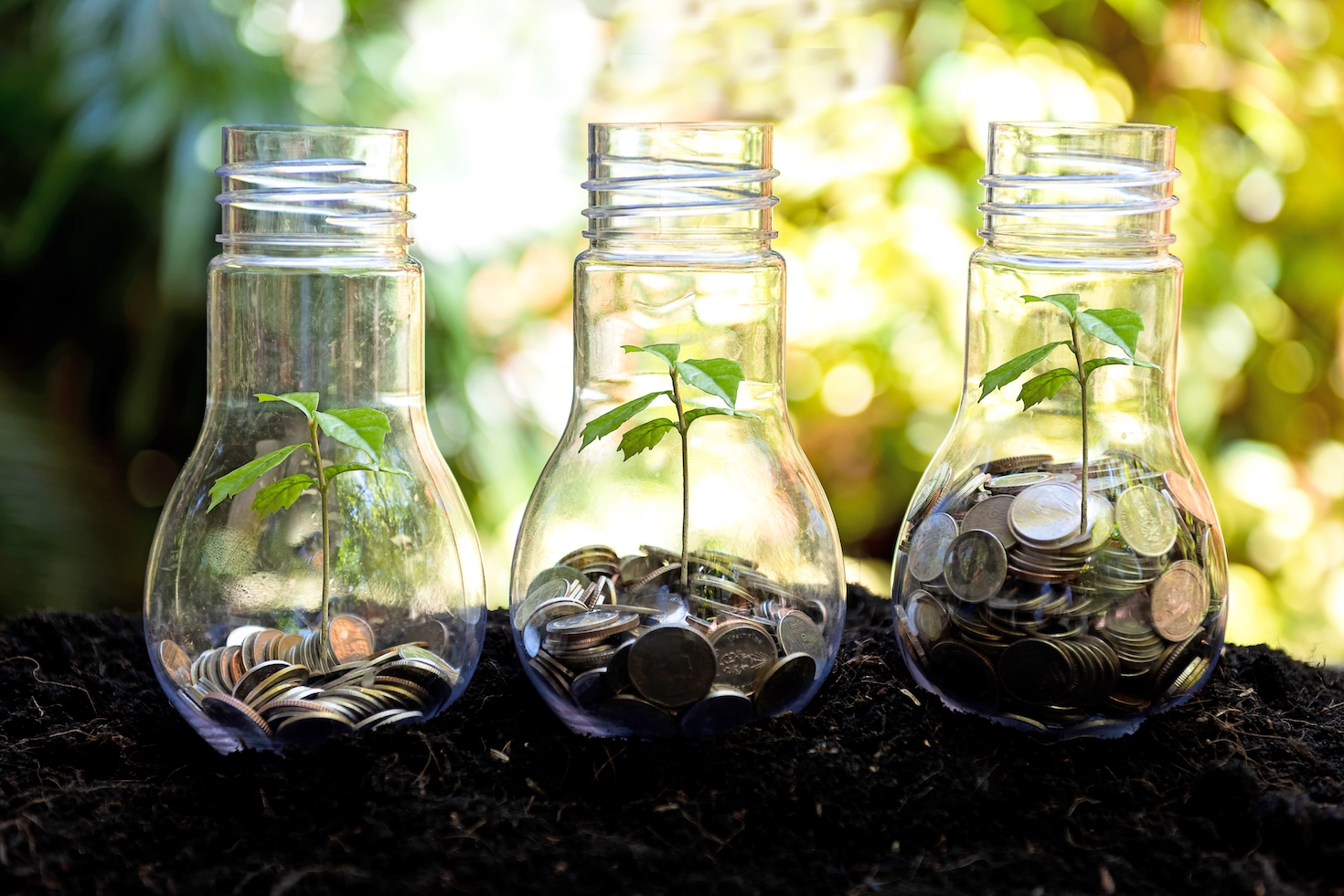 ‘disappointing’:-few-asset-managers-back-shareholder-biodiversity-proposals,-report-finds