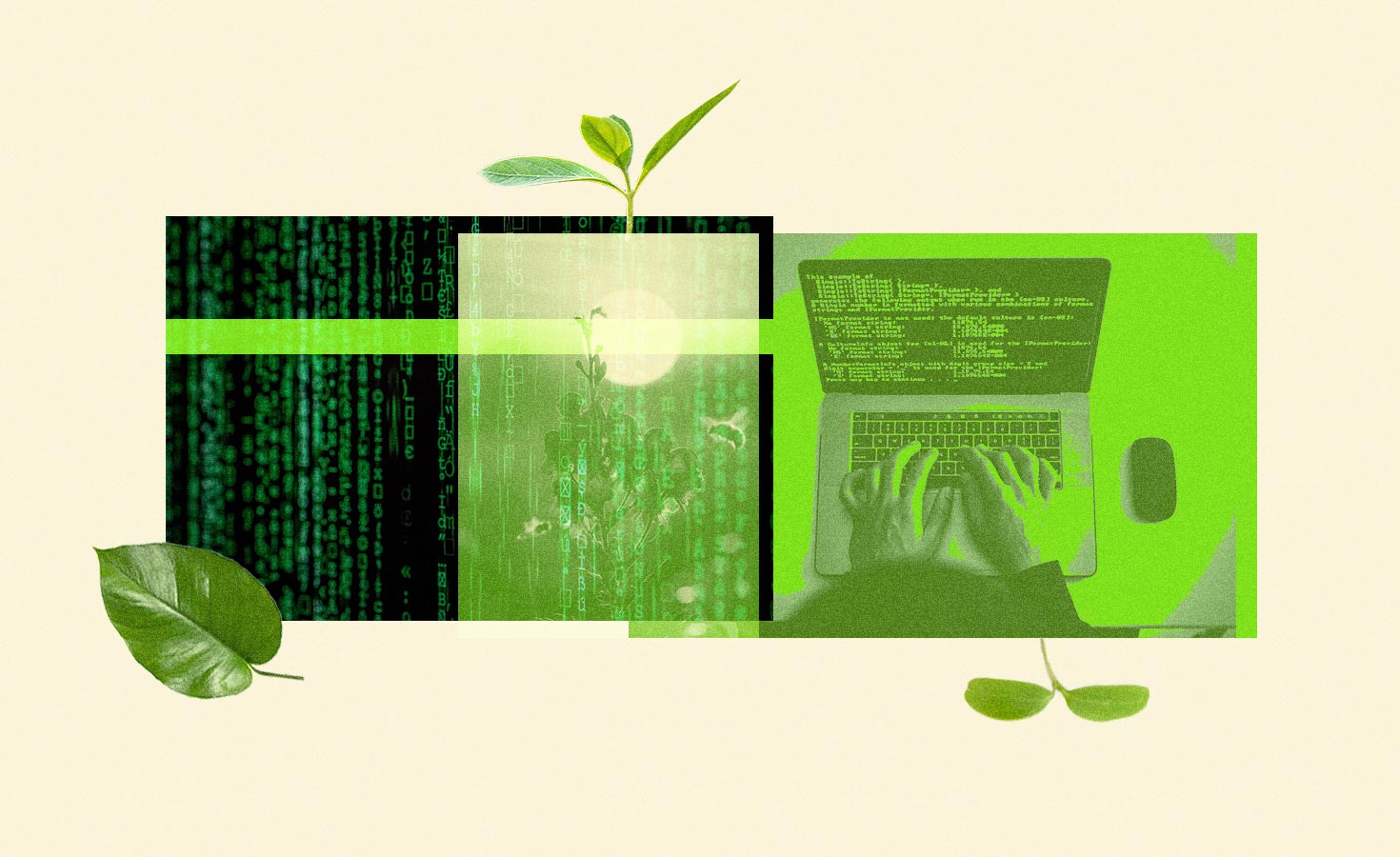 how-coders-can-help-save-the-planet