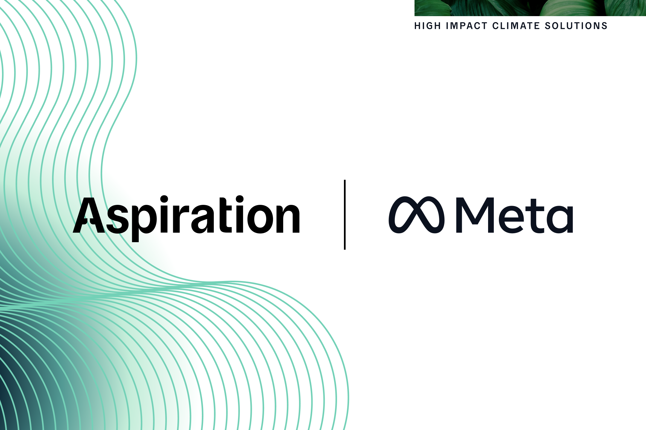 meta-and-aspiration-partner-to-scale-nature-based-carbon-removal-solutions