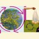 the-circular-economy-is-about-avoiding-waste-and-fixing-broken-value-systems