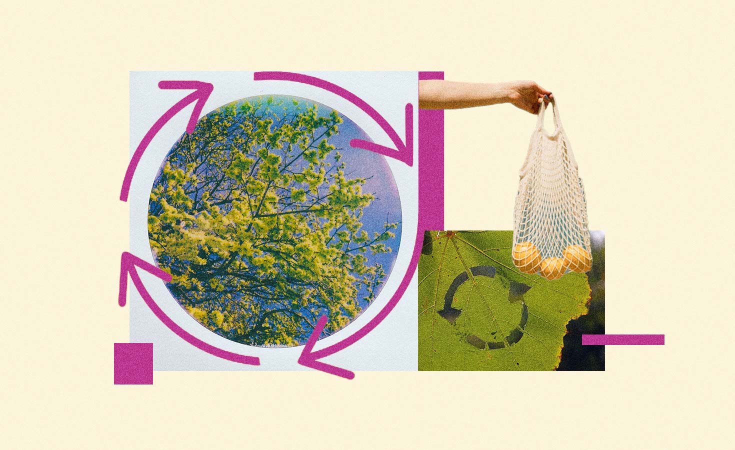 the-circular-economy-is-about-avoiding-waste-and-fixing-broken-value-systems