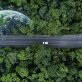 the-path-to-decarbonizing-transport-requires-swift,-coordinated-action