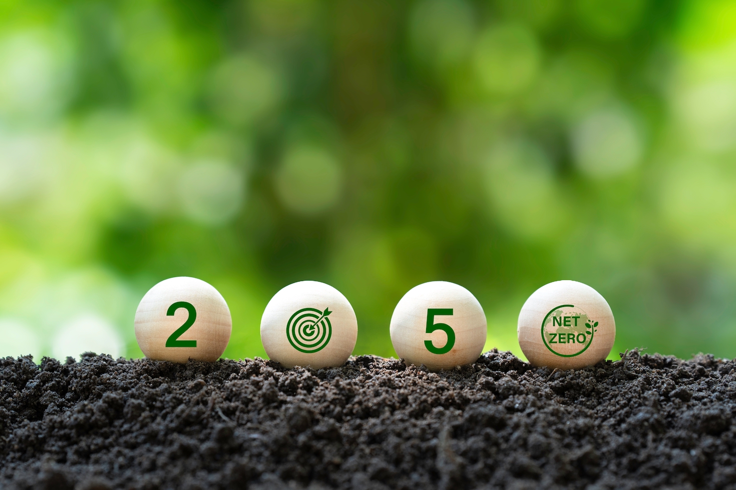 how-a-more-inclusive-marketplace-can-promote-low-carbon-growth