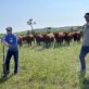 a-firsthand-look-at-regenerative-rancher-education