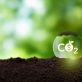 leading-carbon-offset-integrity-bodies-are-joining-forces-—-but-can-they-boost-market-standards?