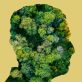 my-mental-rewilding