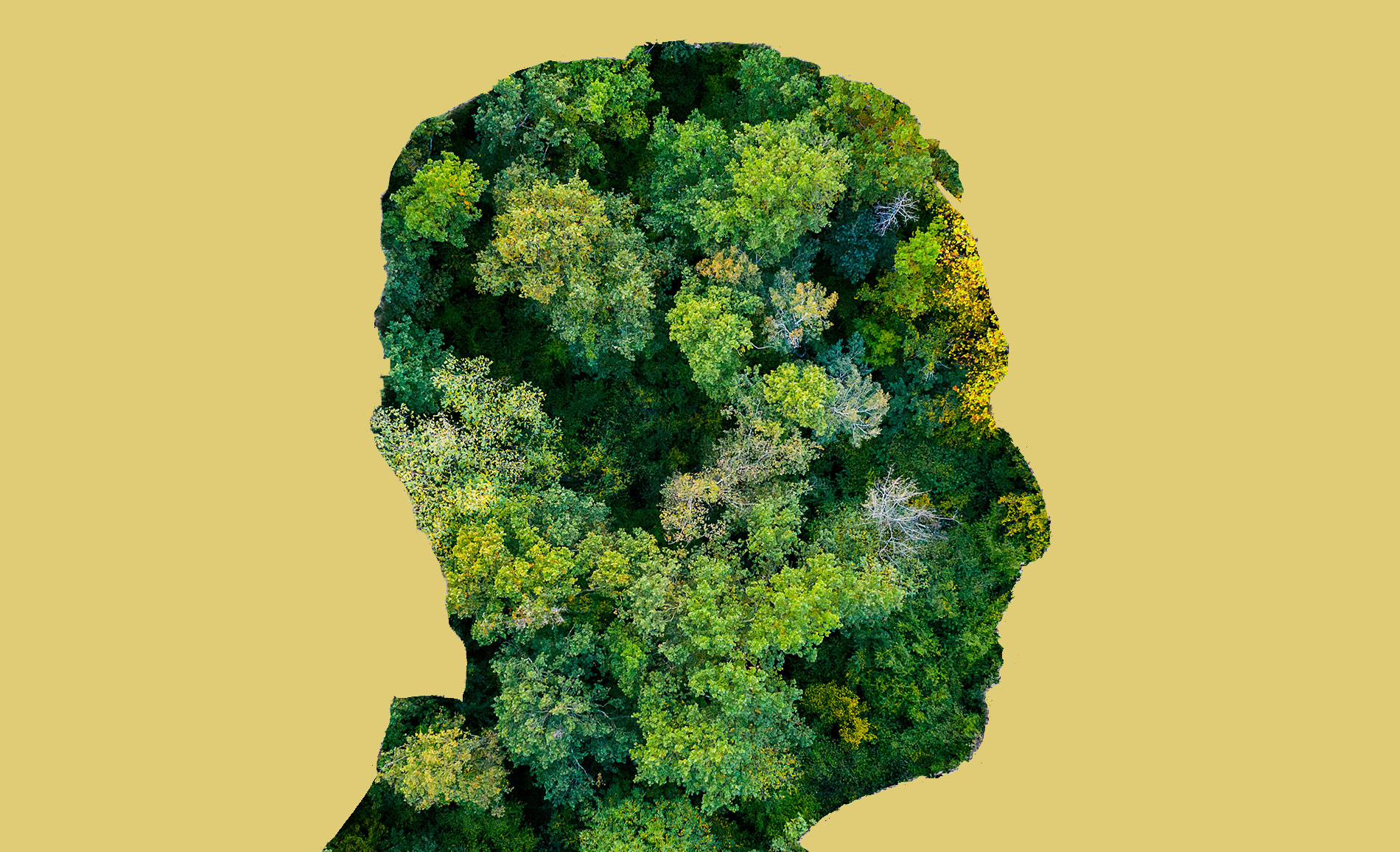 my-mental-rewilding
