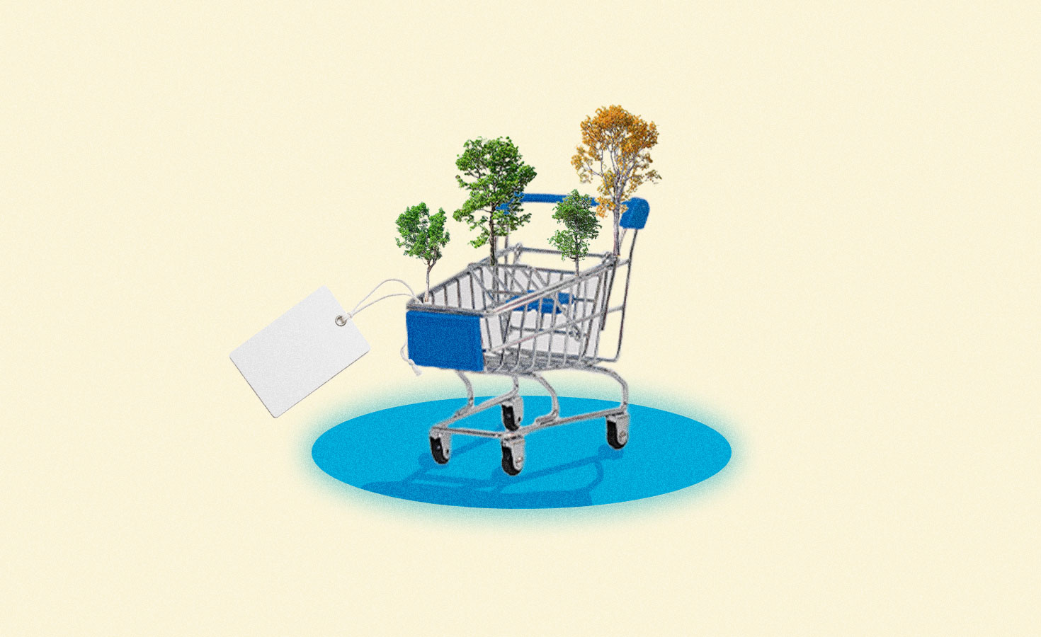 new-code-of-conduct-for-buying-carbon-credits-launches