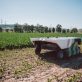q2-startup-roundup:-cultivated-meat-and-agtech-make-progress