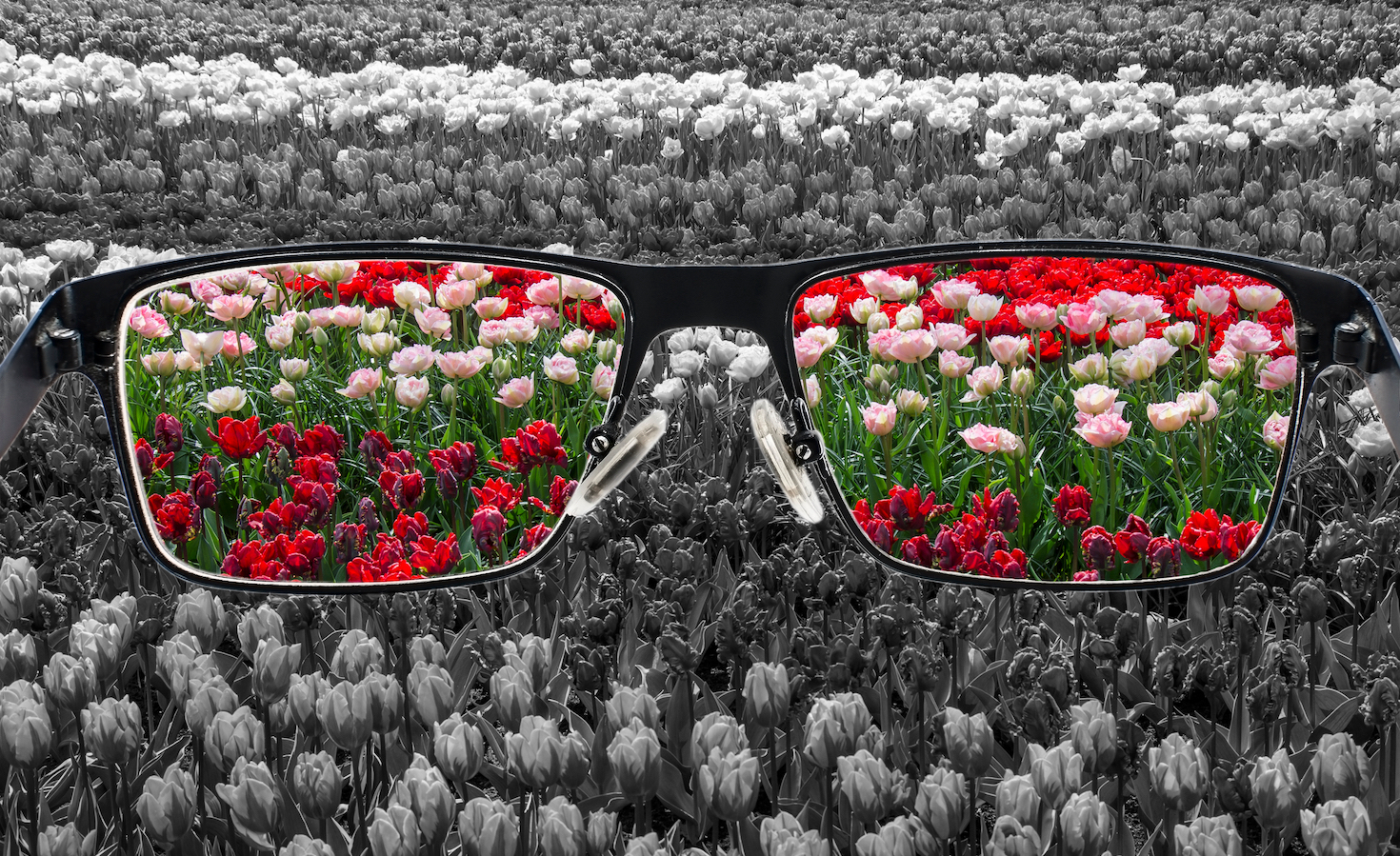 3-reasons-to-be-optimistic-about-climate-tech-in-the-second-half-of-2023