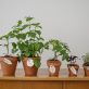 how-the-new-sustainability-disclosure-rules-can-work-for-you