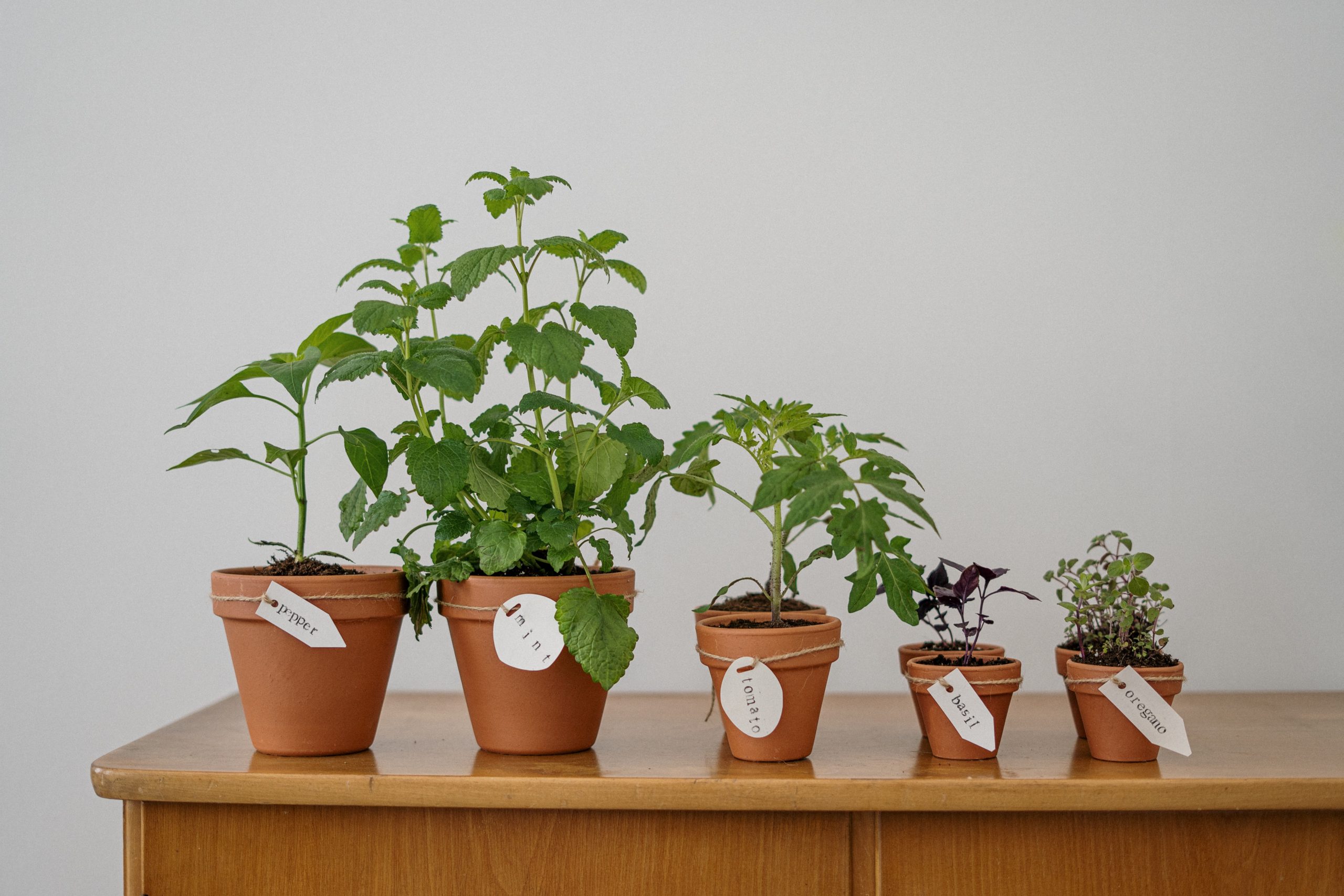 how-the-new-sustainability-disclosure-rules-can-work-for-you