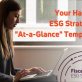 your-handy-esg-strategy-“at-a-glance”-template