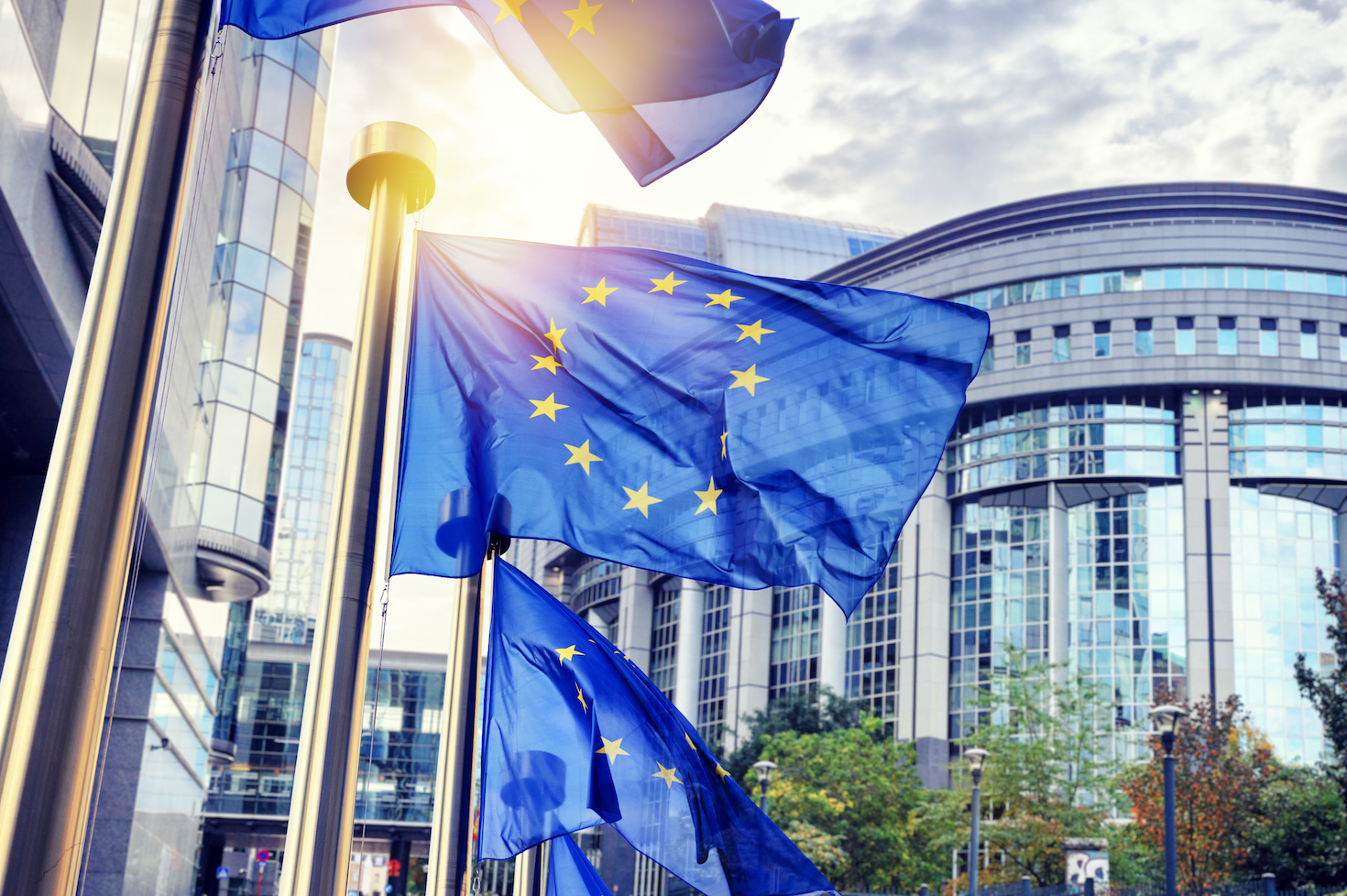 ‘a-good-day-for-europe’:-eu-lawmakers-pass-landmark-nature-restoration-law