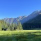 3-ways-companies-fall-short-on-addressing-deforestation