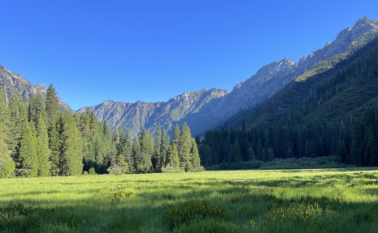 3-ways-companies-fall-short-on-addressing-deforestation