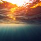 the-future-of-sustainability:-4-fast-emerging-trends