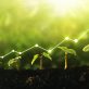 6-ways-investors-can-close-the-data,-metrics-gap-for-nature