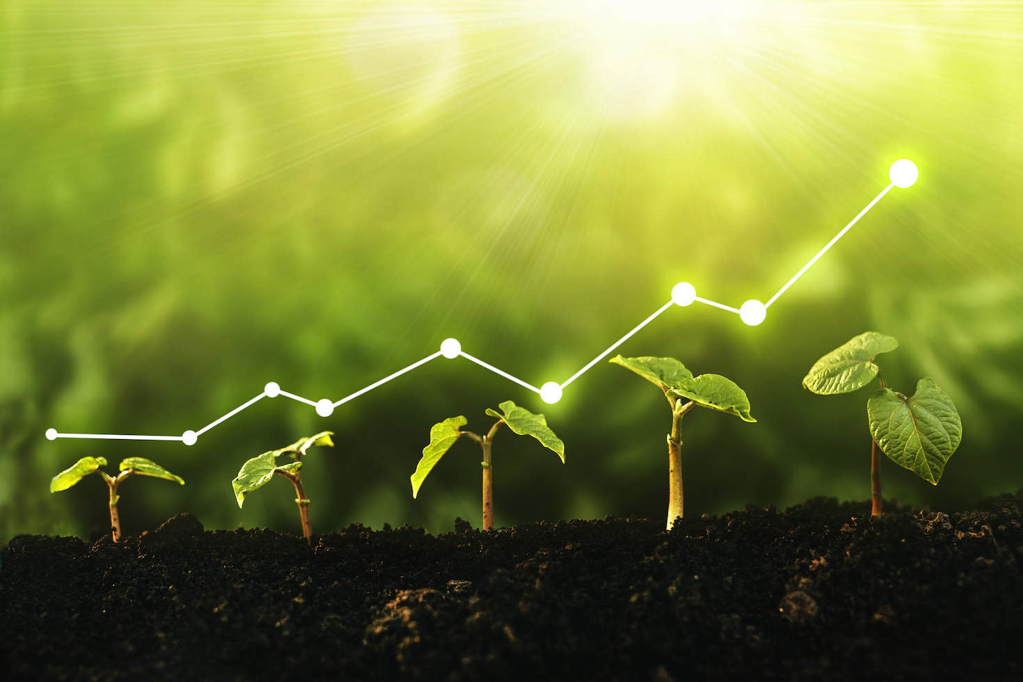 6-ways-investors-can-close-the-data,-metrics-gap-for-nature
