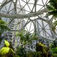 get-ready:-amazon-will-ask-supply-chain-to-report-emissions-starting-in-2024