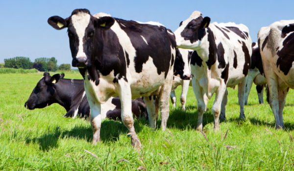 how-the-ira’s-investments-are-advancing-climate-smart-agriculture