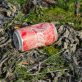 is-coca-cola-the-worst-plastic-polluter-in-the-uk?
