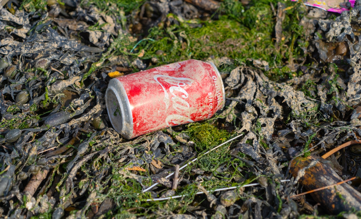 is-coca-cola-the-worst-plastic-polluter-in-the-uk?