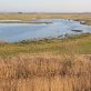 rewilding-the-us.-could-be-a-powerful-tool-for-addressing-climate-change